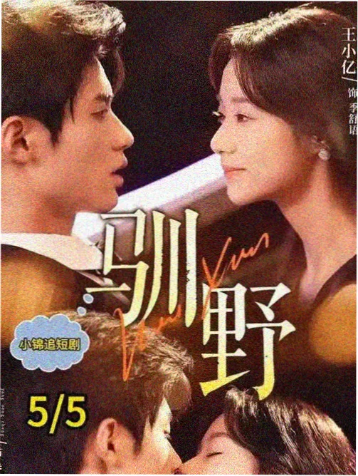 第九个证人 555电影电视剧全集在线观看